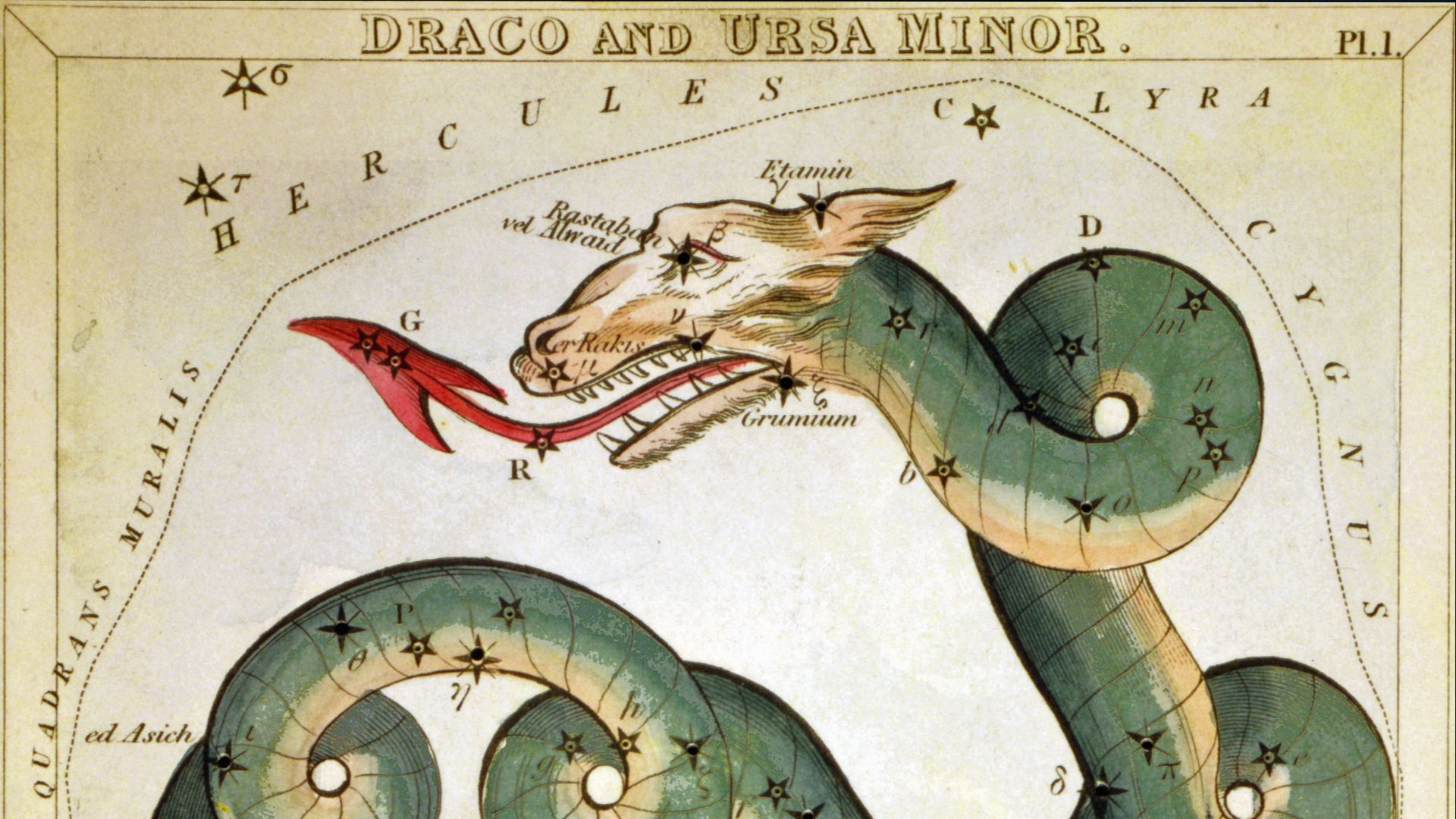 7. Draco