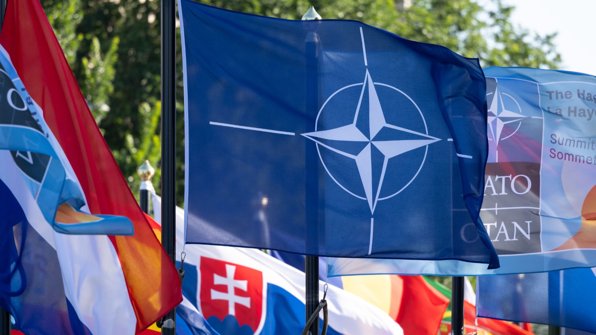 La réaction de l'OTAN