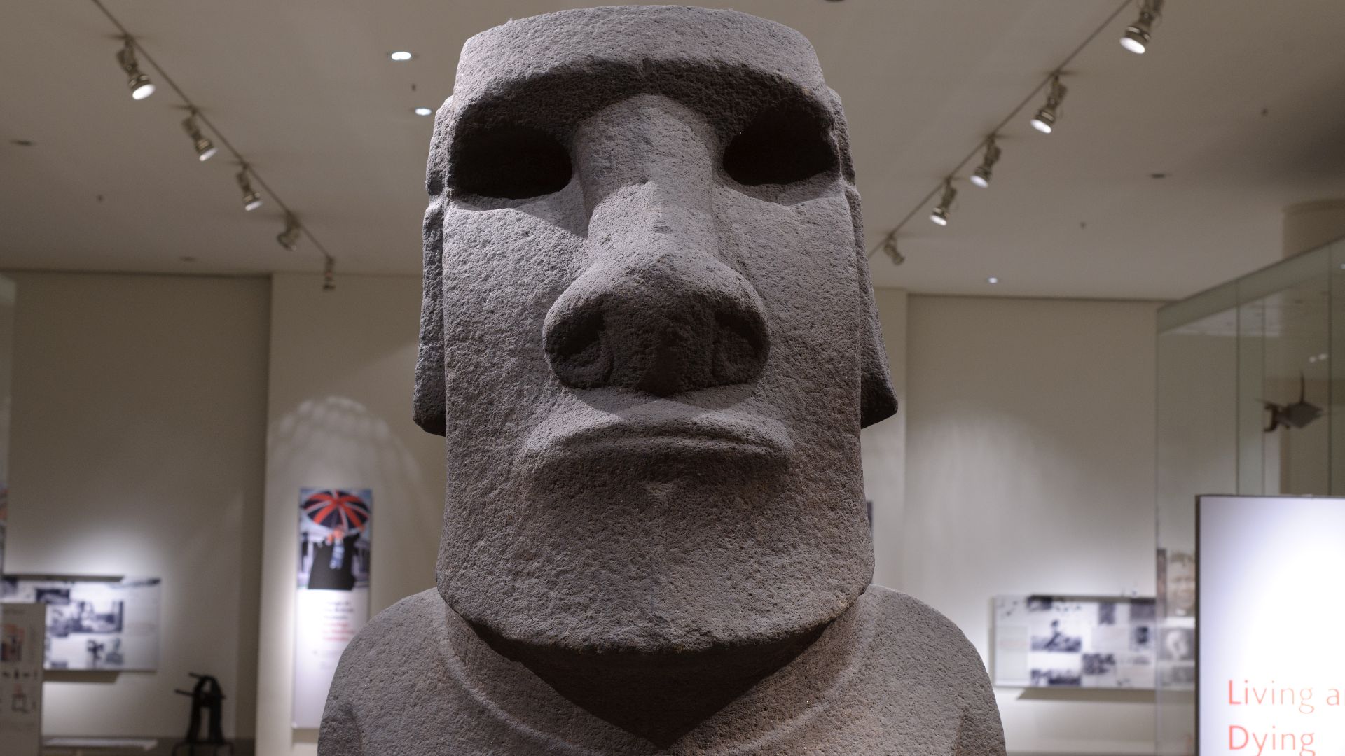 4. Hoa Hakananai'a (Moai de l'île de Pâques)