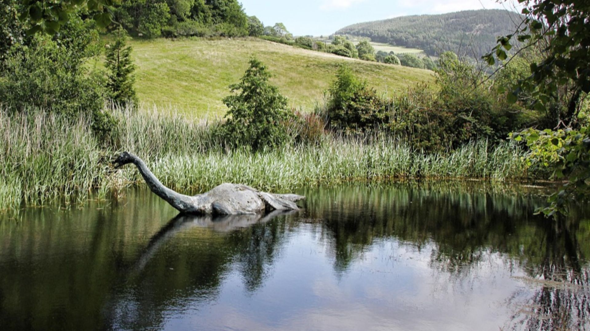 5. Nessie?