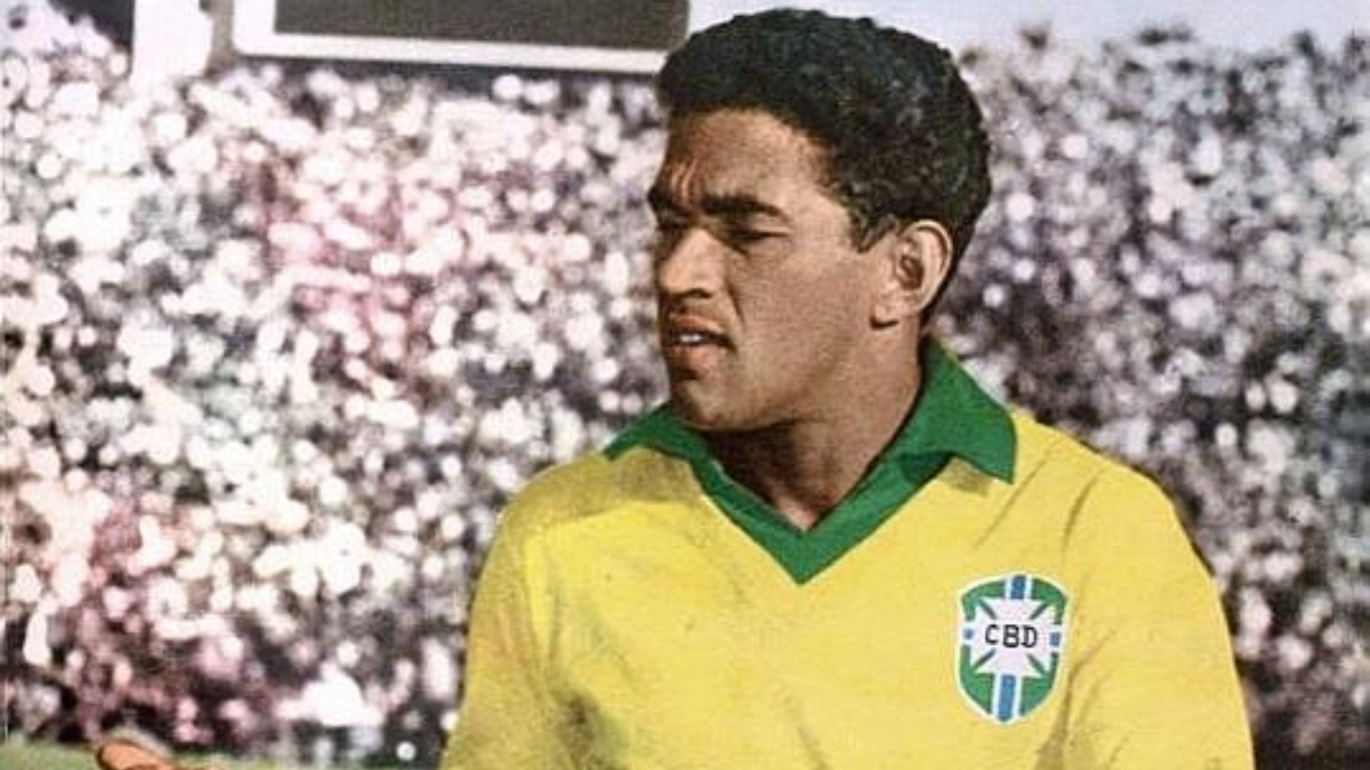 19. Garrincha