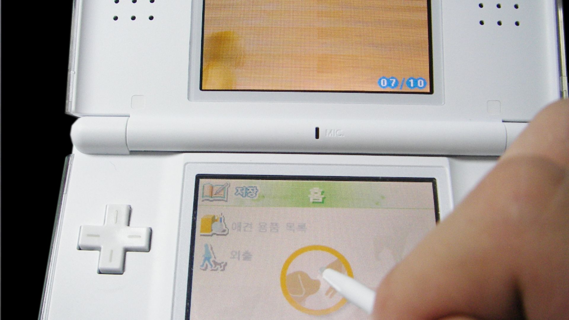 2. Nintendogs