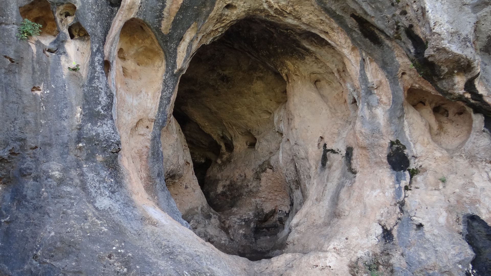 7. Perles de la grotte de Skhul