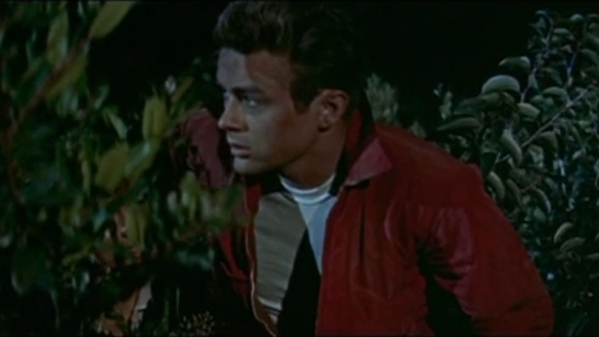 10. La veste rouge de James Dean