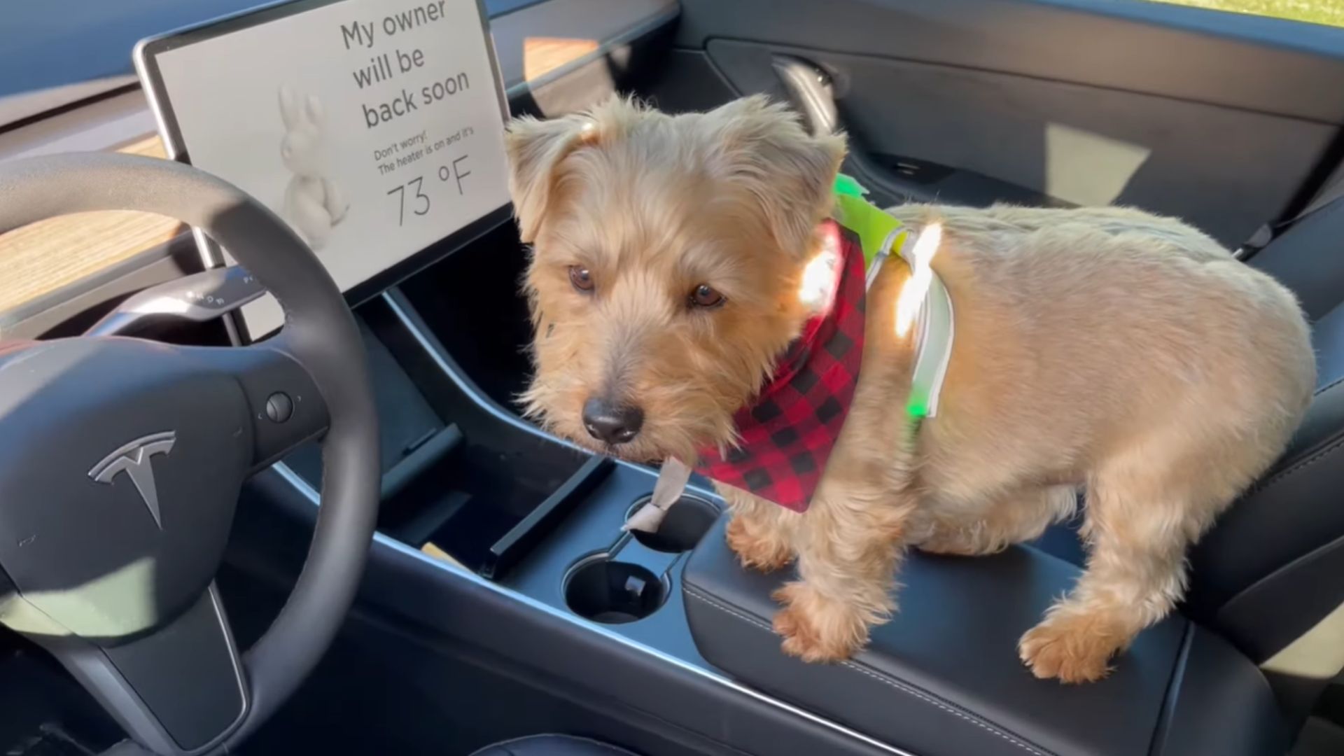 18. Activer le mode chien