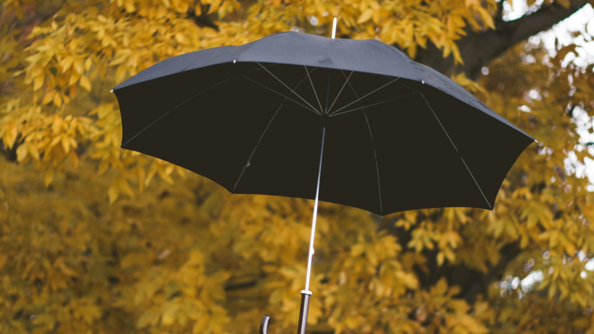 19. Le parapluie