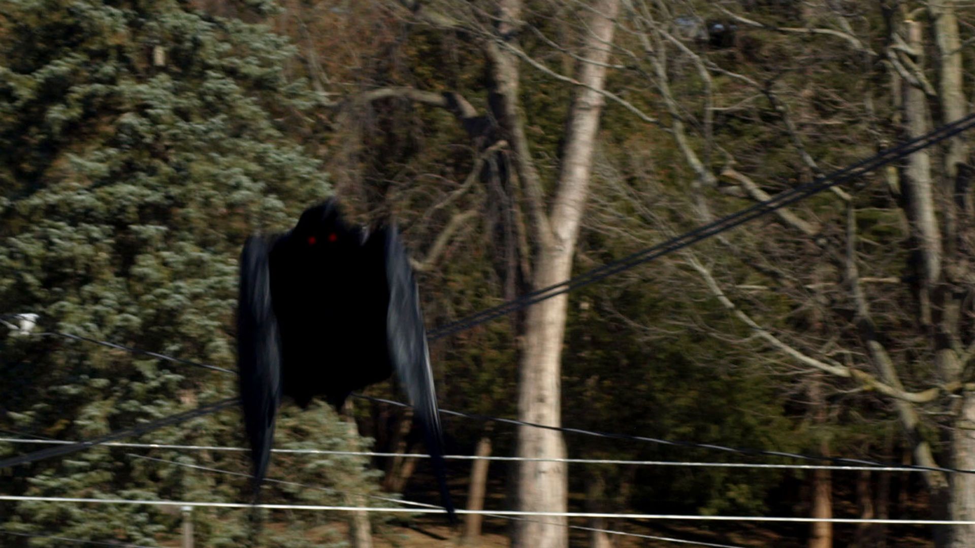9. Il y a eu des canulars concernant le Mothman