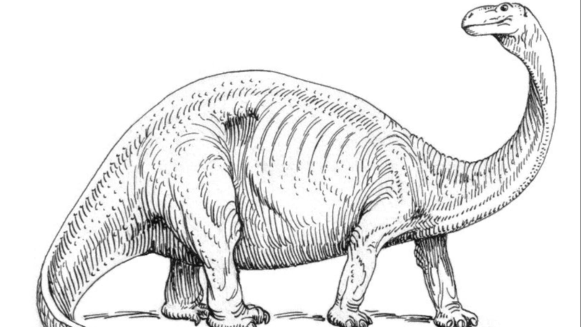 2. Mokele-Mbembe