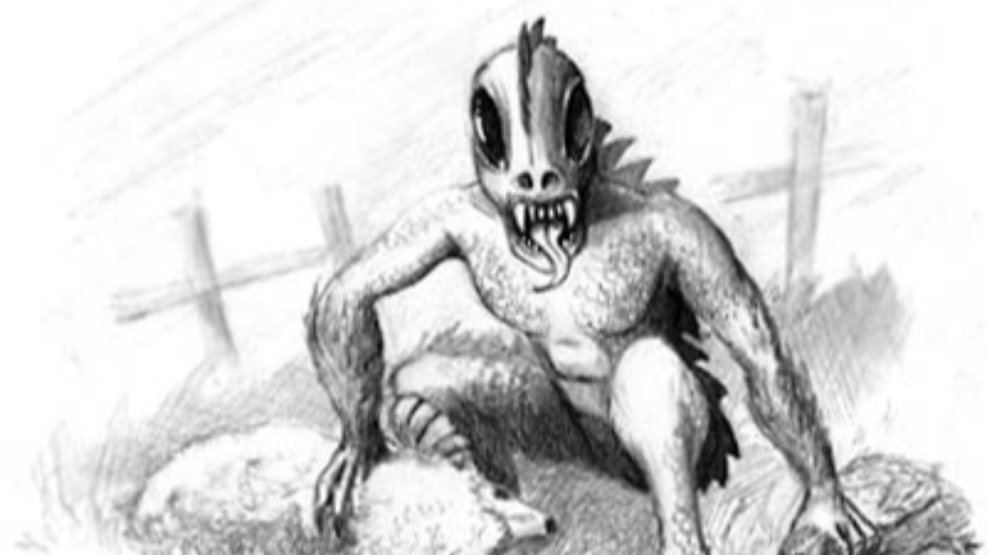 3. Chupacabra