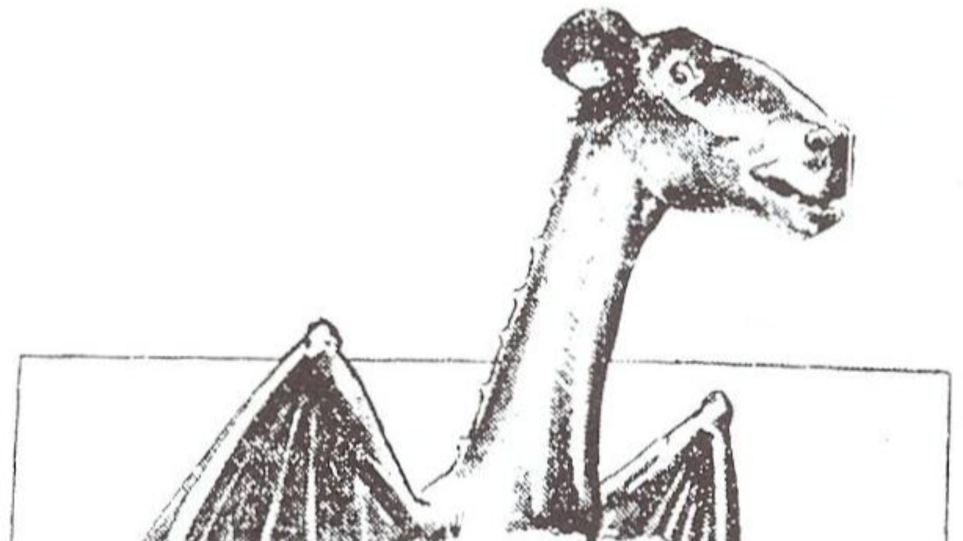 5. Le diable de Jersey