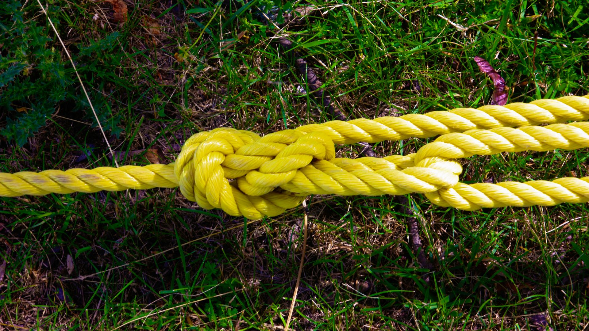 4. Couper la corde