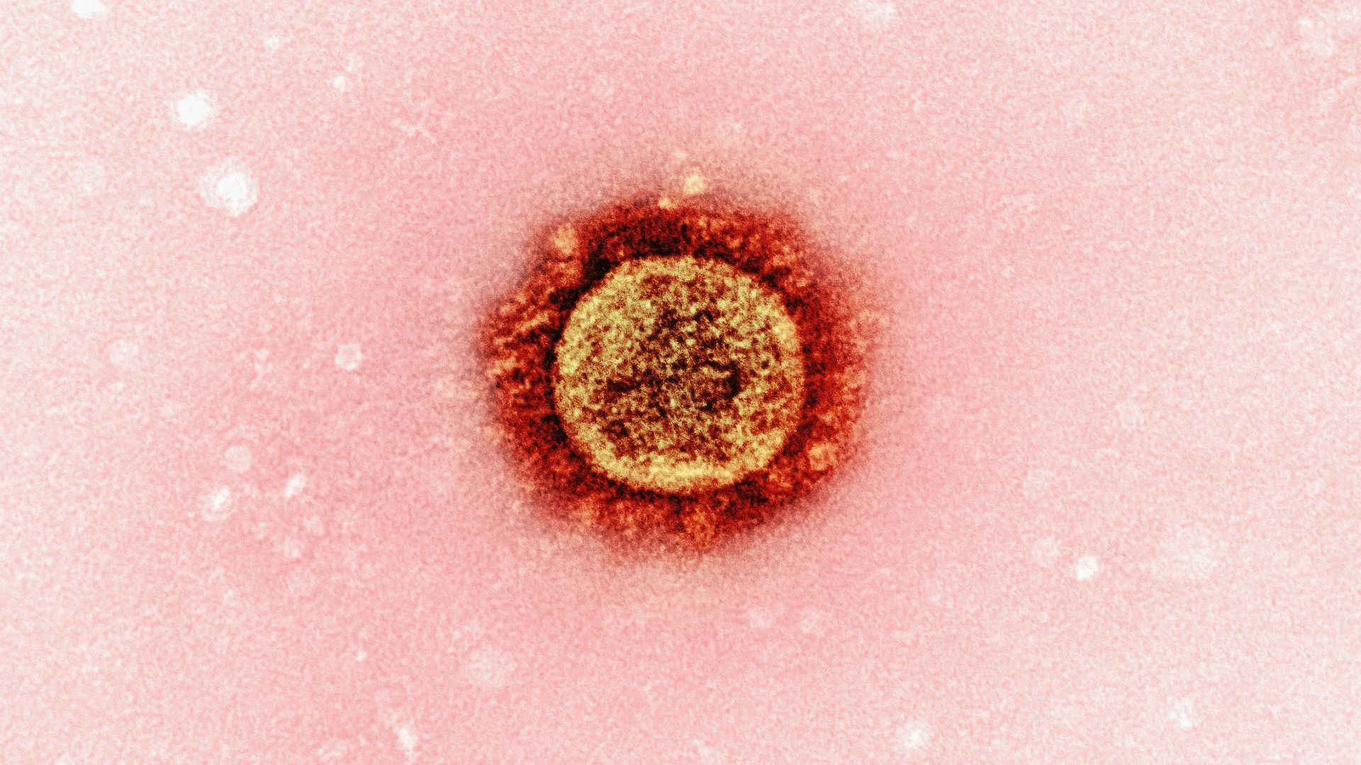 13. Plague Inc.