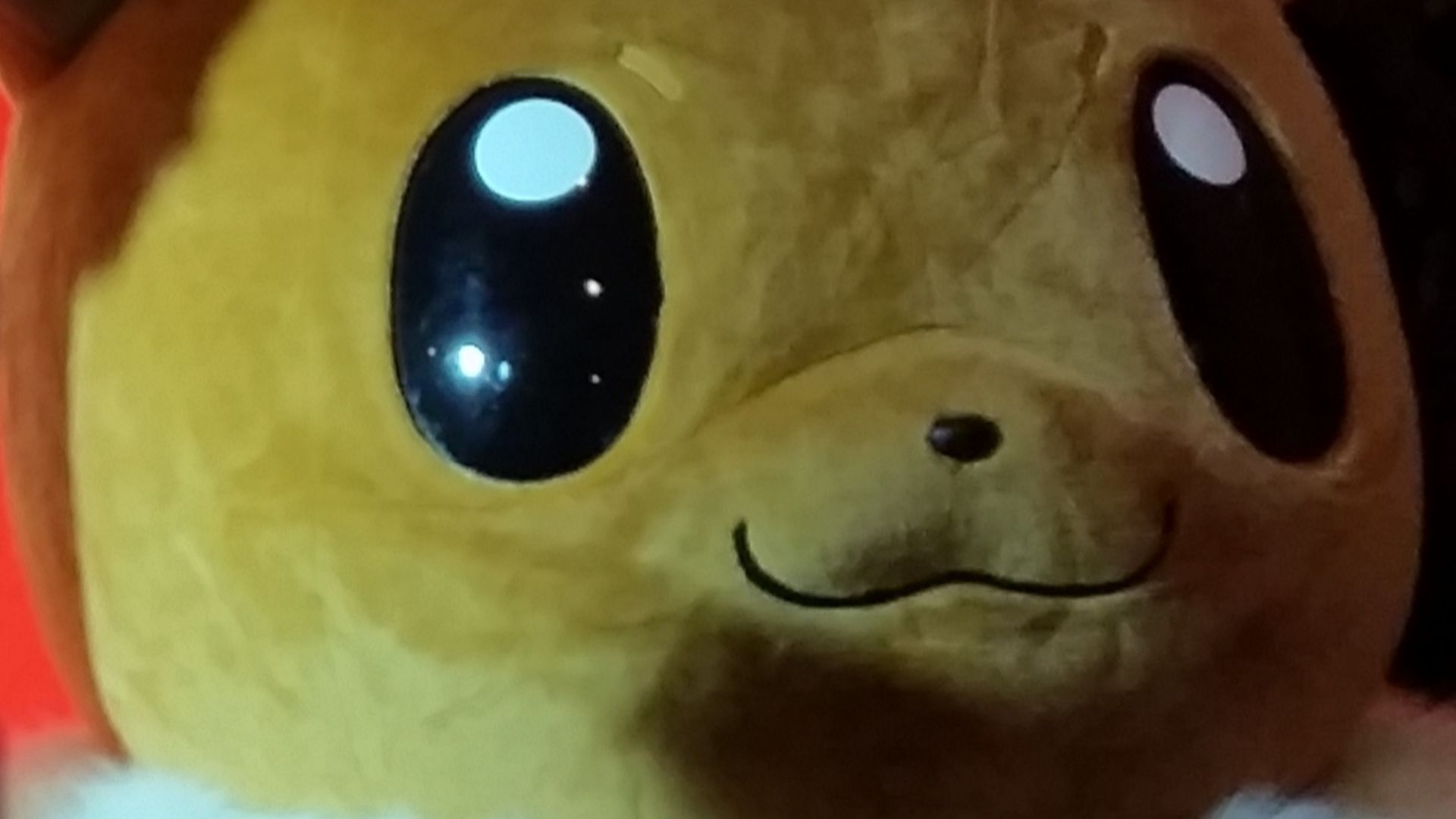 11. Eevee