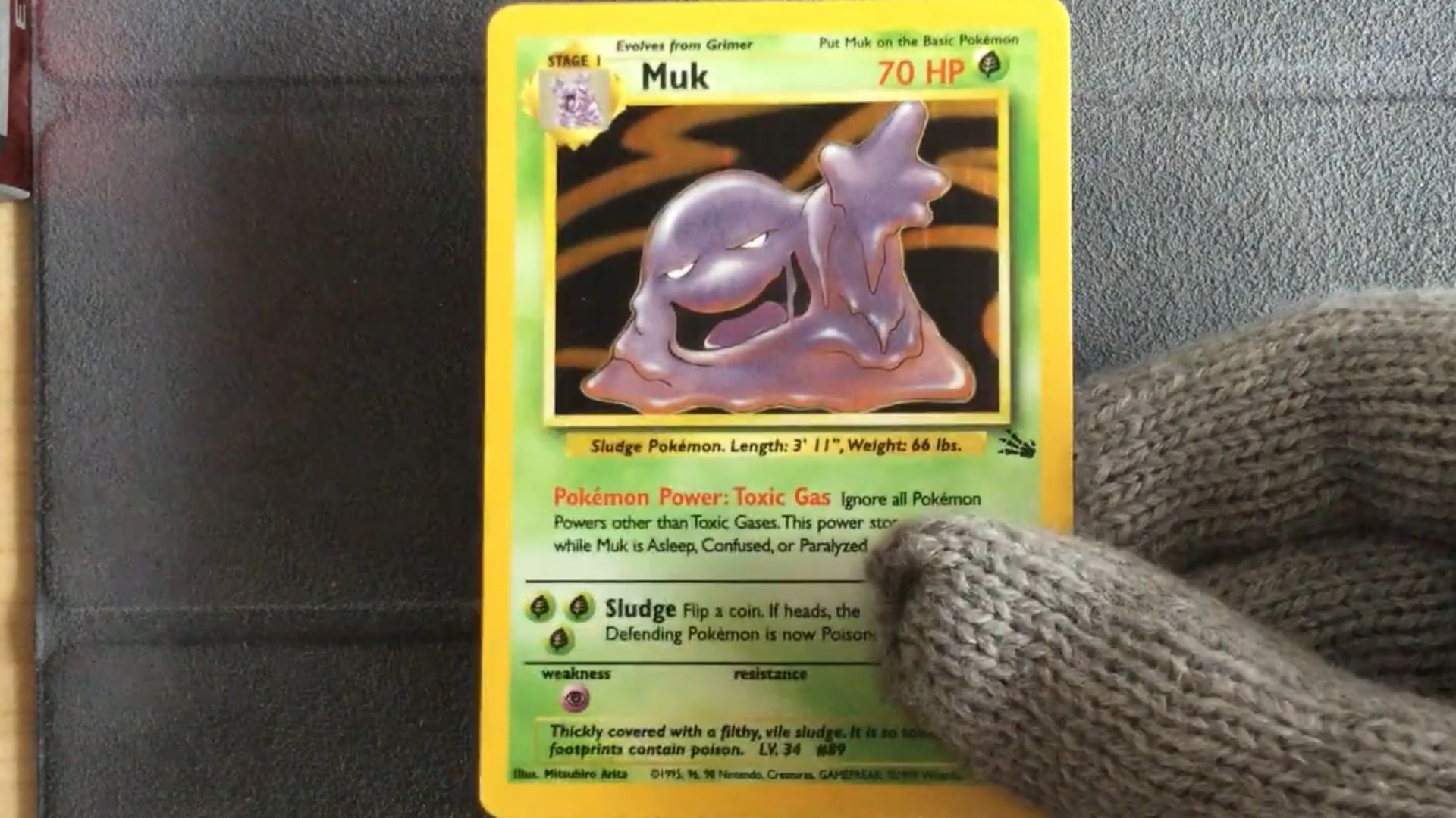 2. Muk (Fossile)
