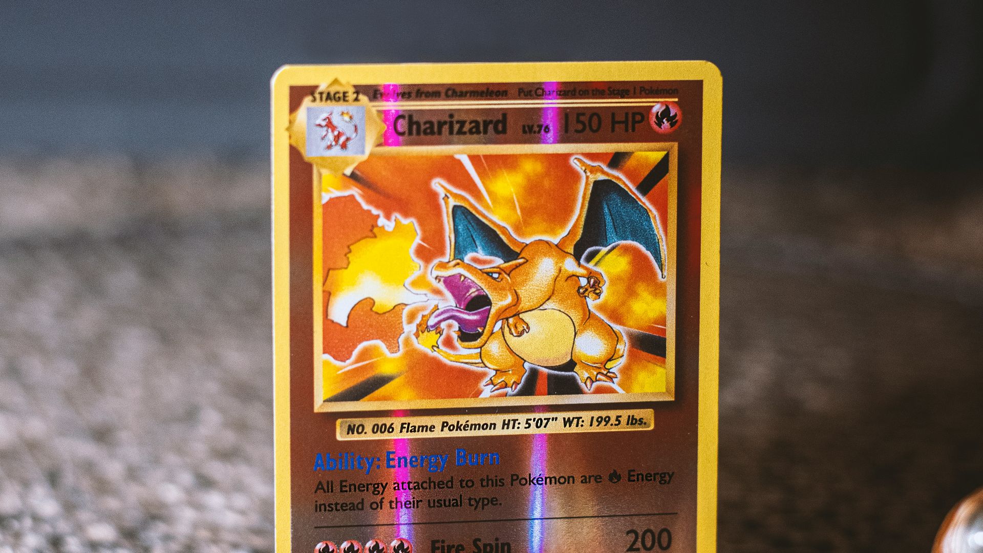 1. Lézard
