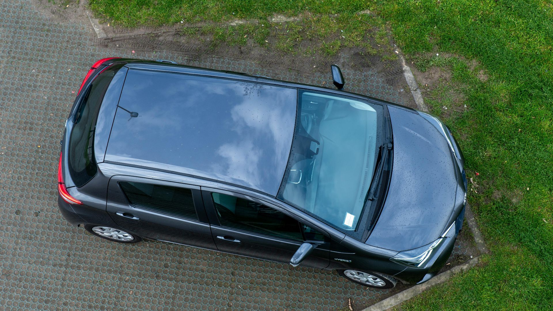 4. Please Stop Watching Me Park