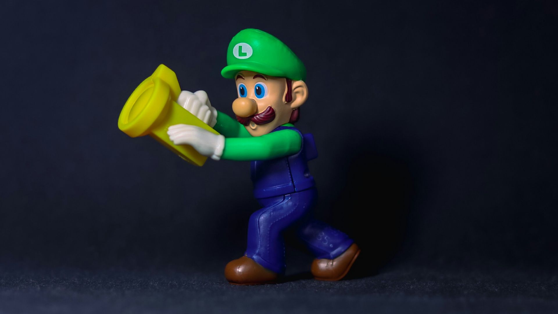 18. L'ombre de Luigi