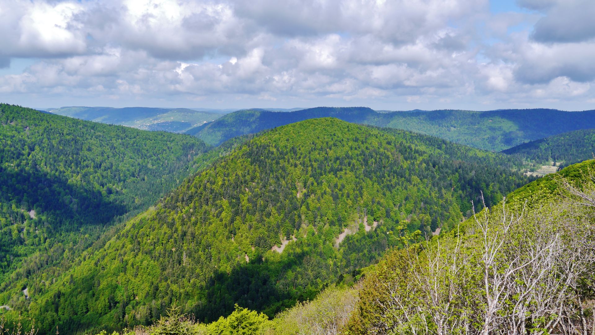 5. Route des Crêtes