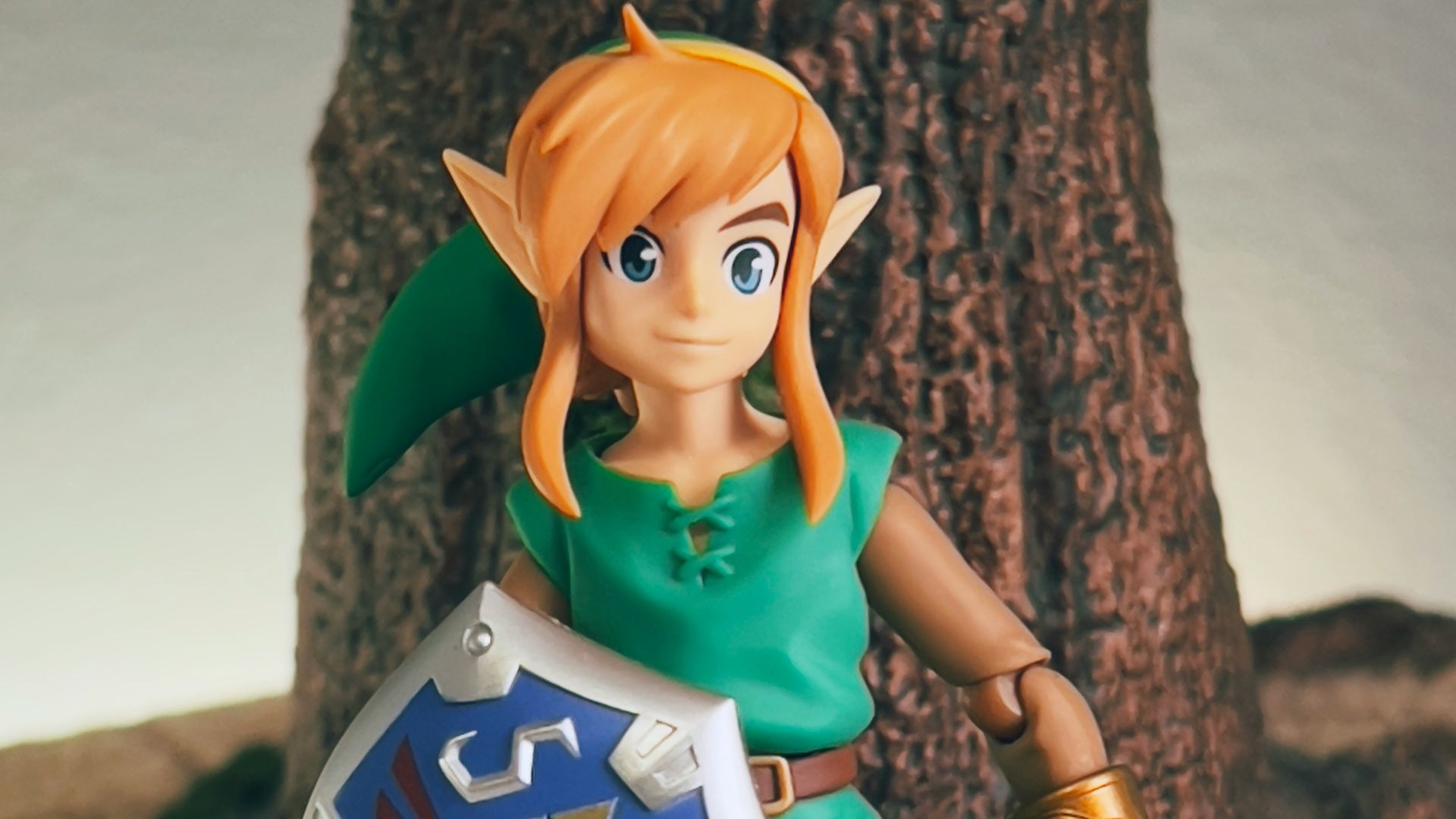 8. Marin