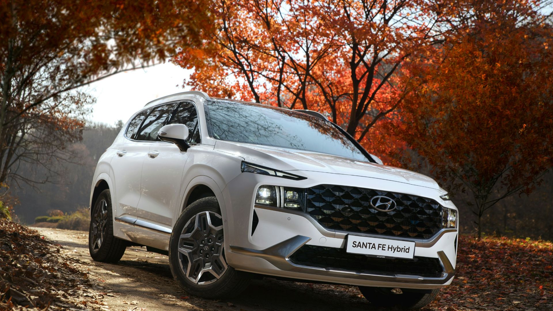 8. Hyundai Santa Fe