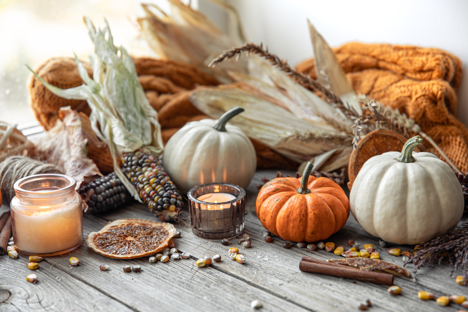 Buy Multi-Use Decorations