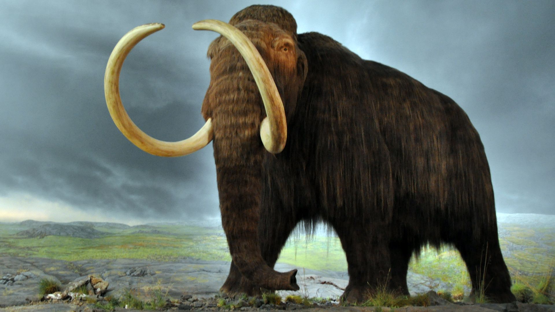 3. 10 000 ANS AVANT J.-C