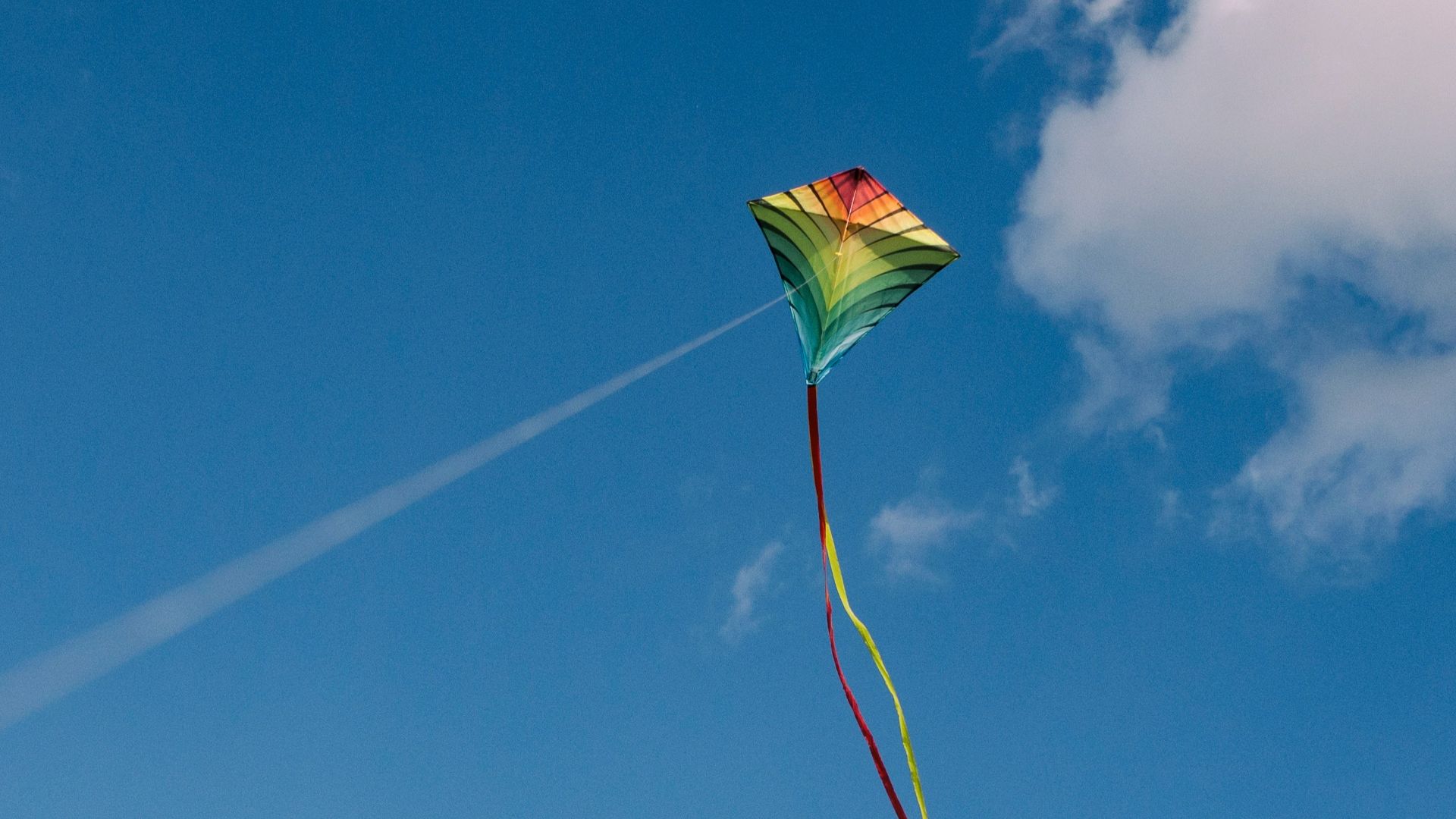 5. L'homme cerf-volant