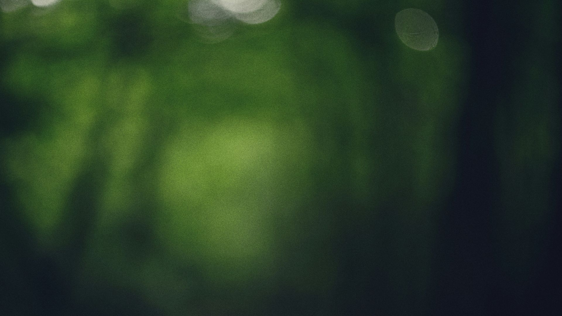 12. Le Poltergeist de Bingen