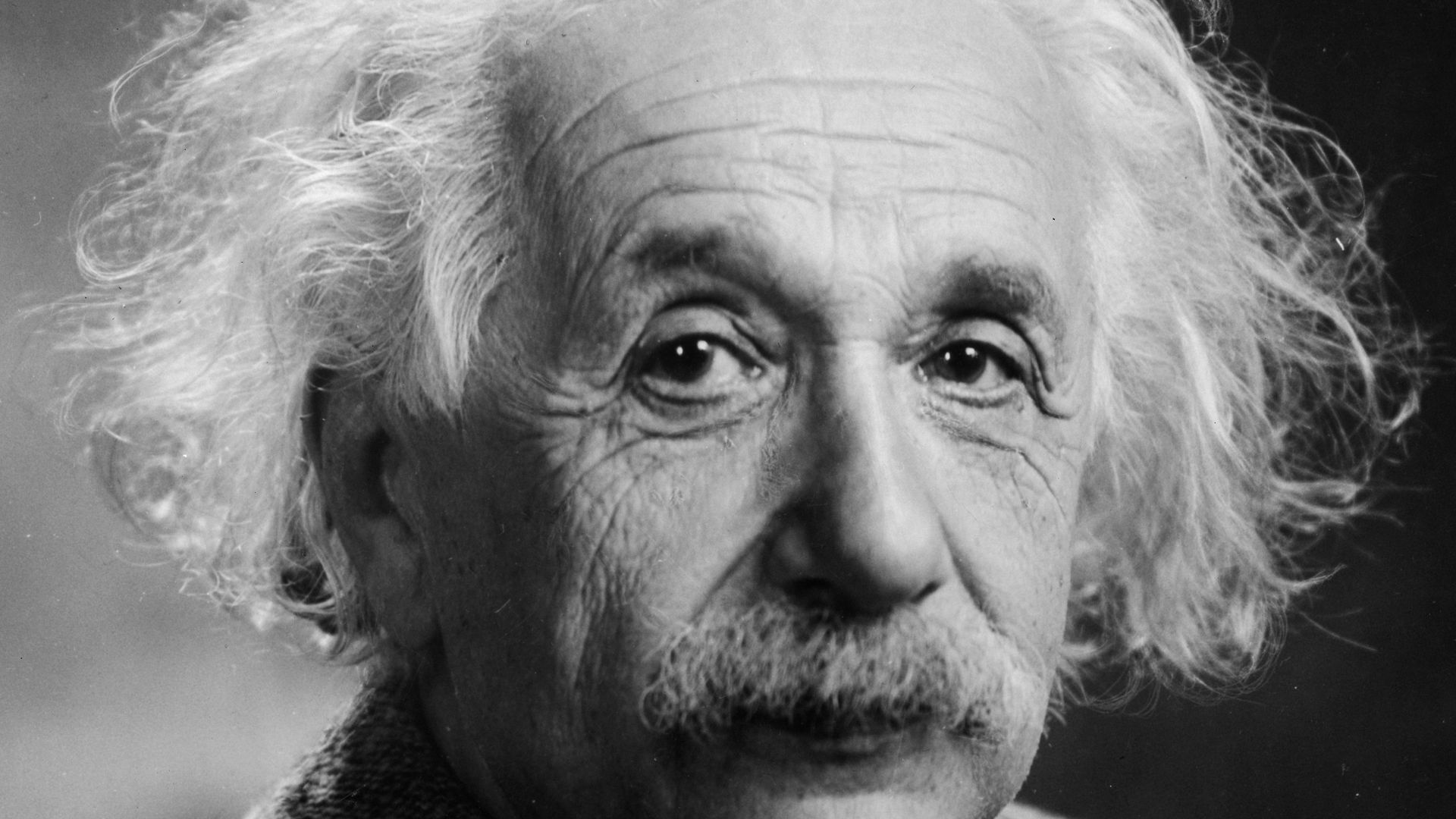 5. Le cerveau d'Einstein