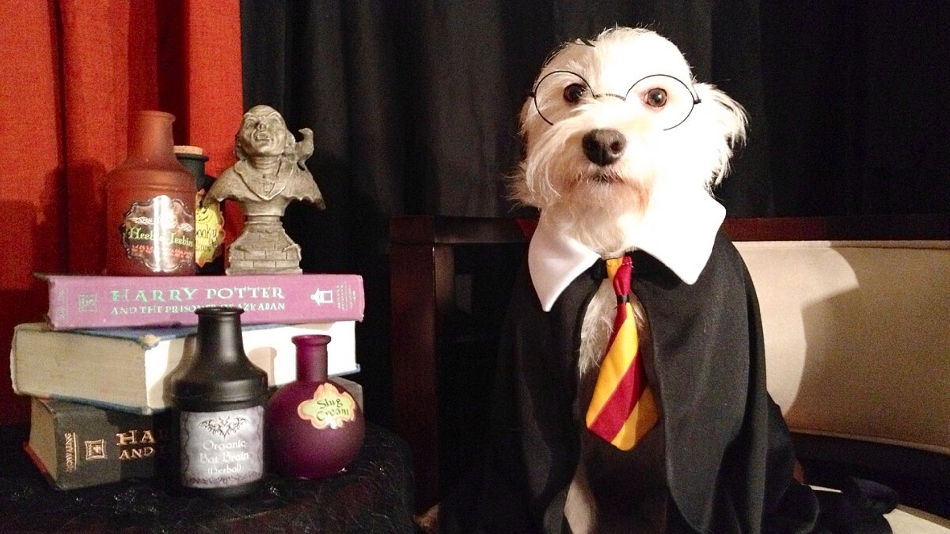 17. Incorporer des animaux geek dans les photos
