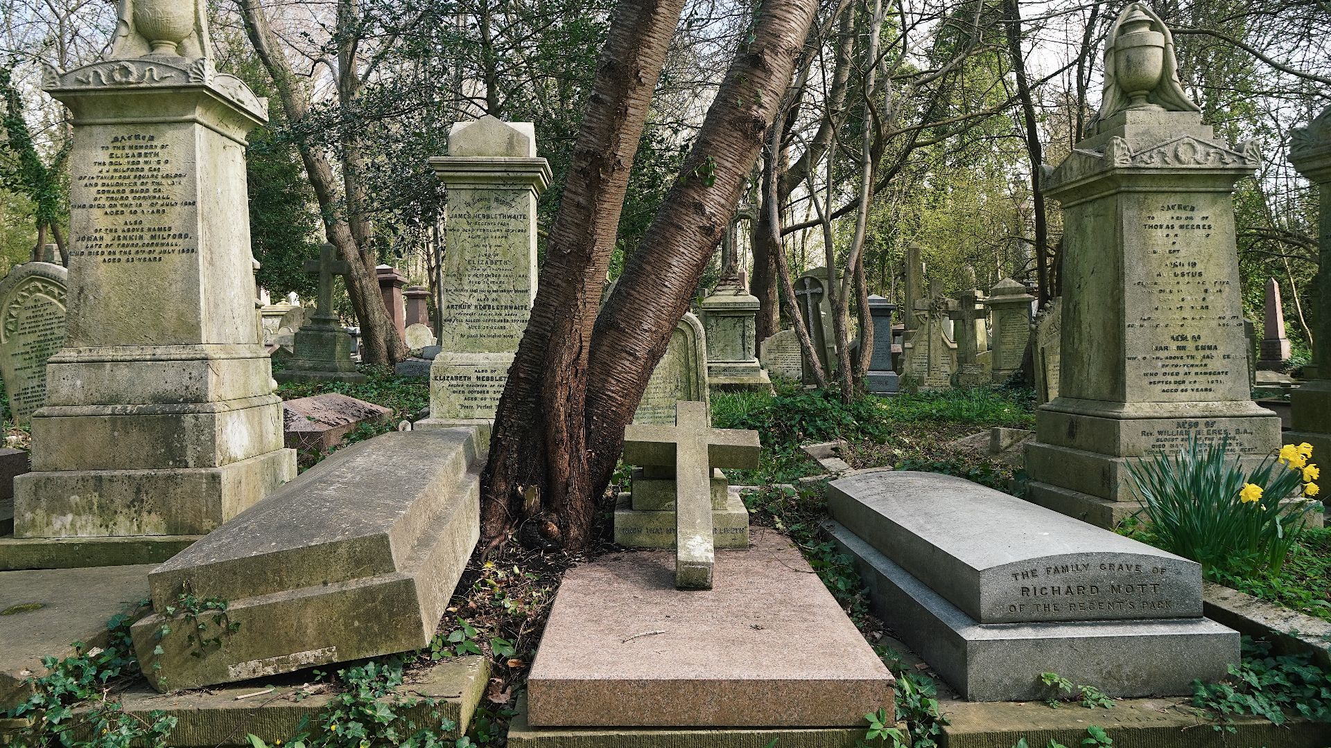 2. Le vampire de Highgate
