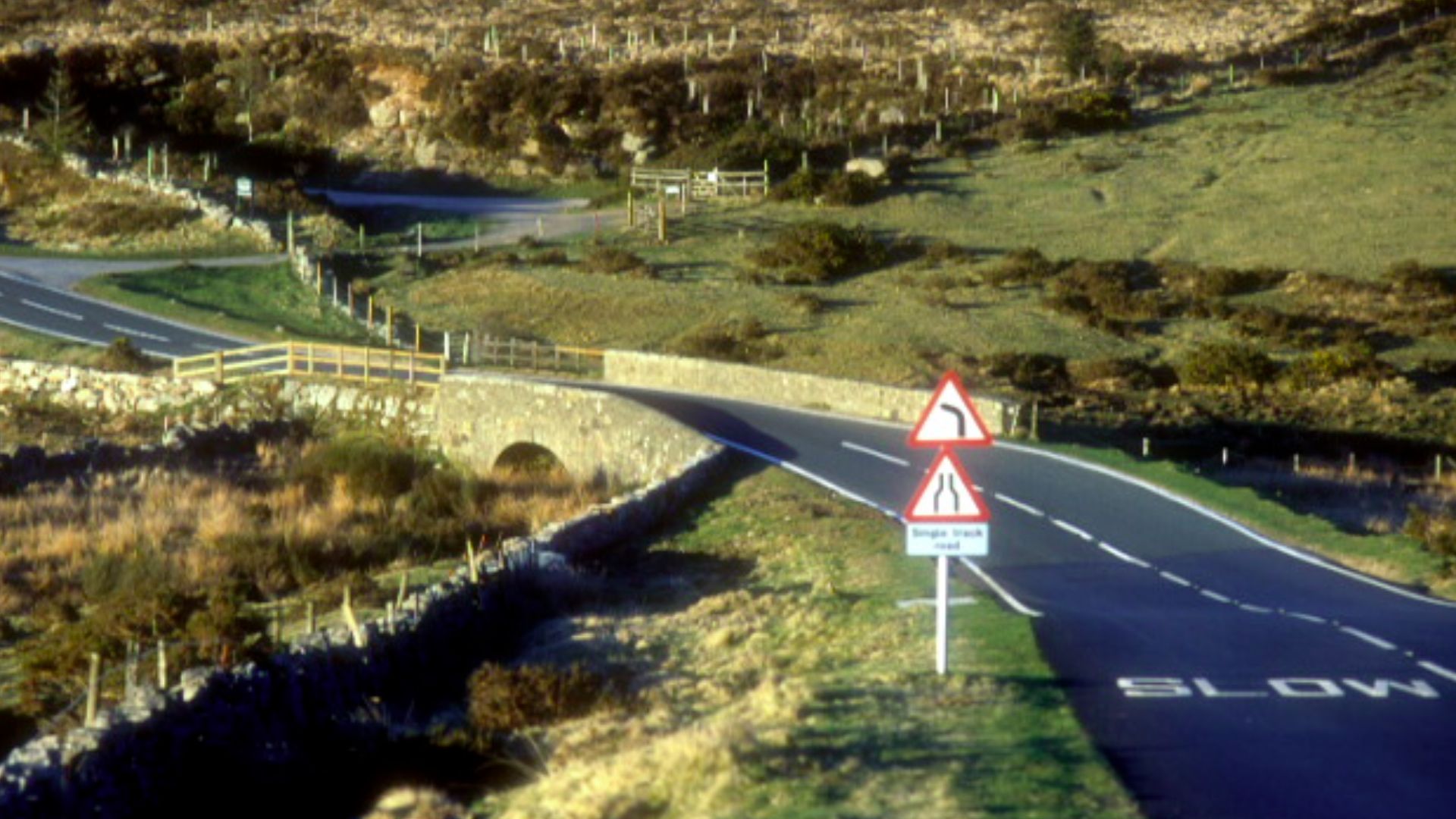 4. Les mains poilues du Dartmoor
