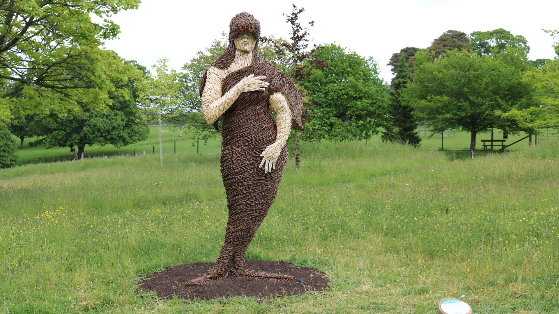 15. Les légendes selkies
