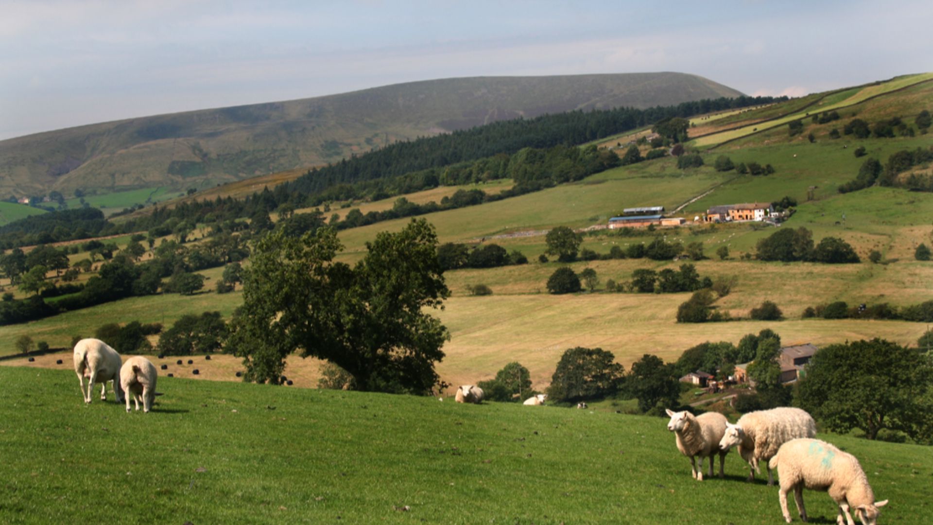 19. Les fantômes de Pendle Hill