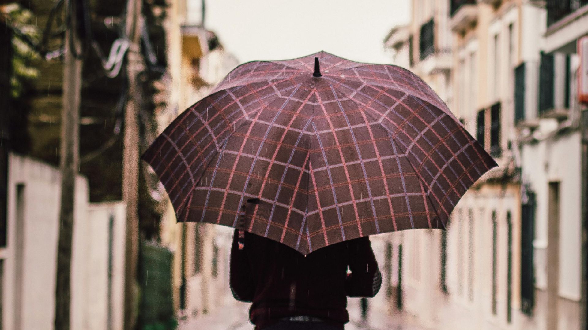 2. Parapluies