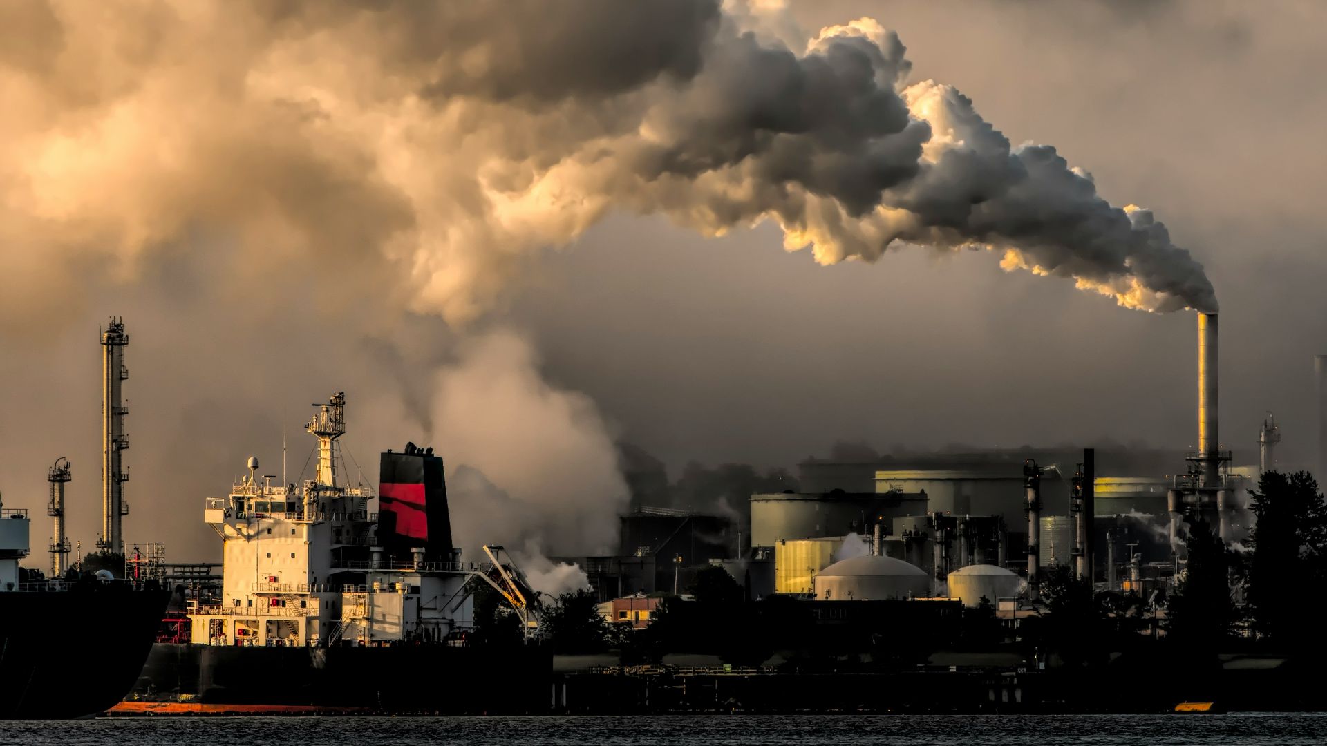 5. Réchauffement climatique