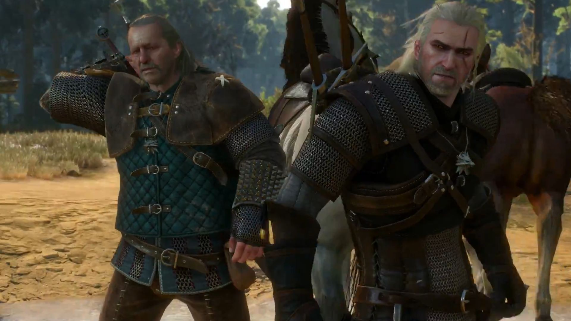 7. The Witcher 3 : Wild Hunt (2015)