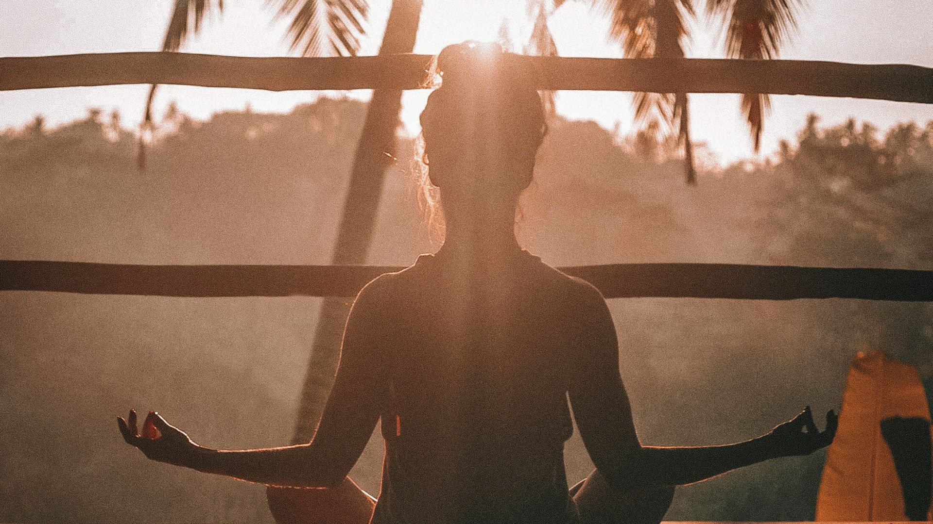 2. Méditation et pleine conscience