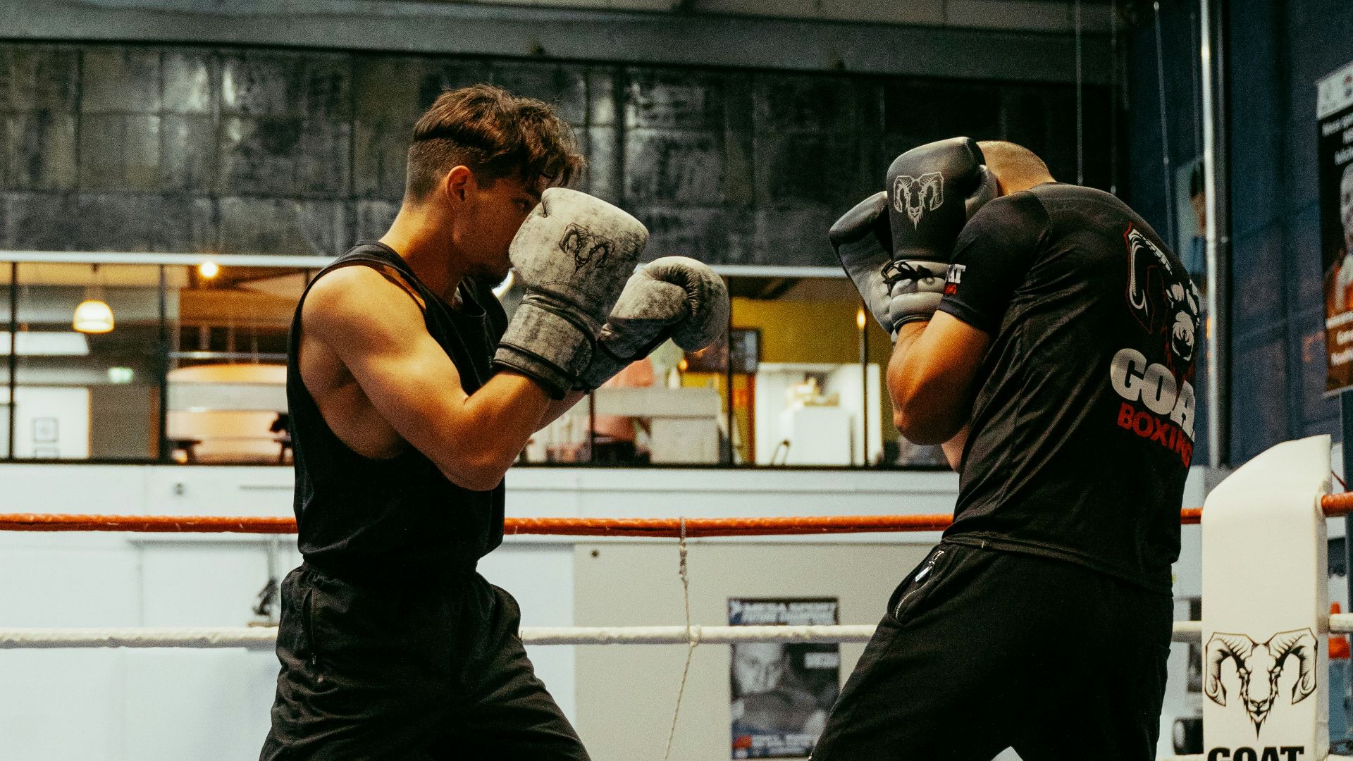 4. Boxe