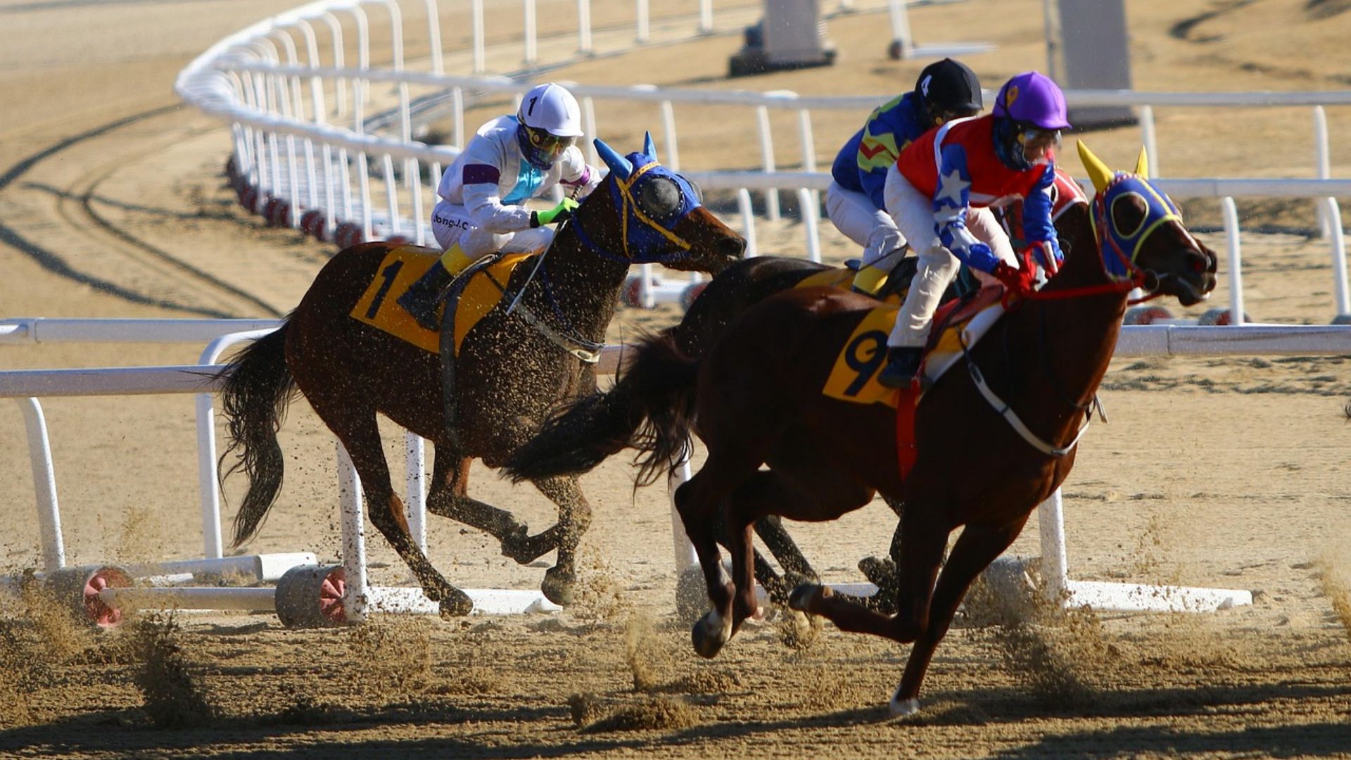 7. Courses de chevaux