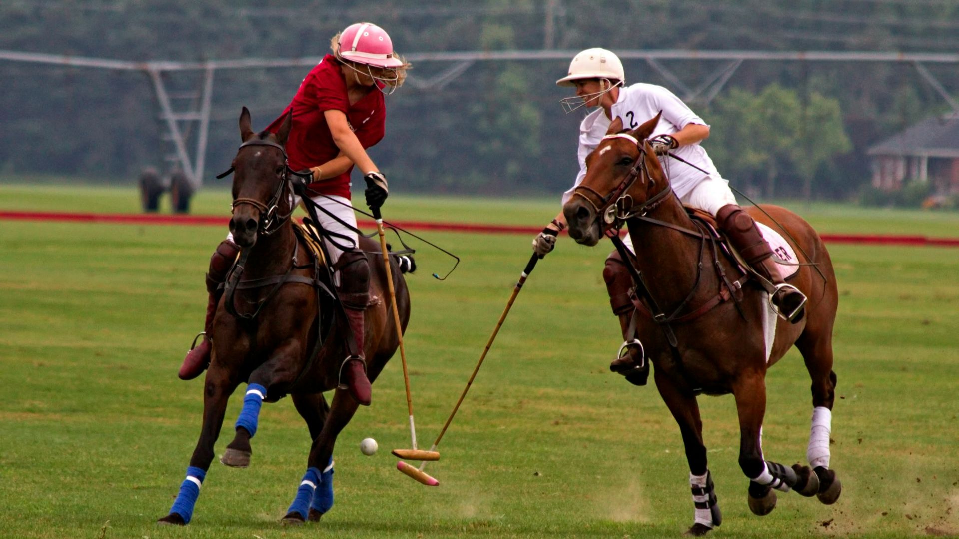 9. Polo