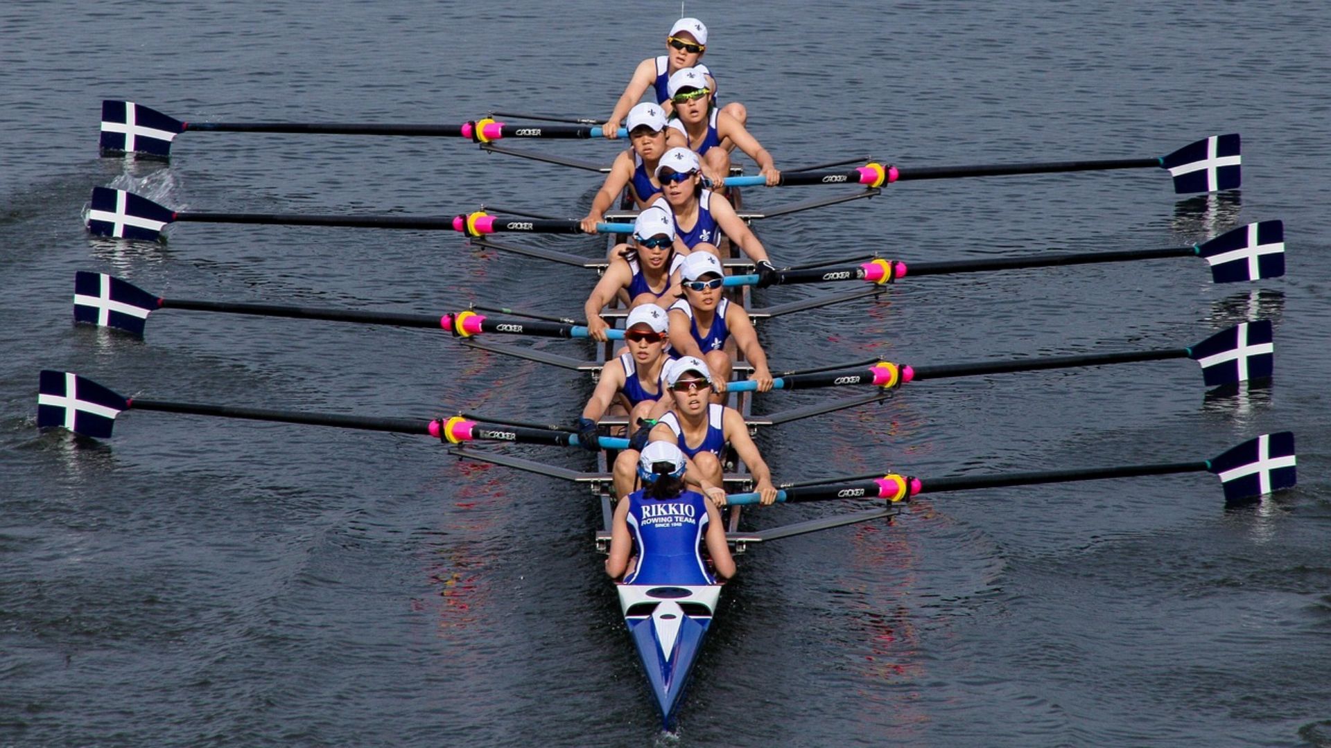 13. Aviron