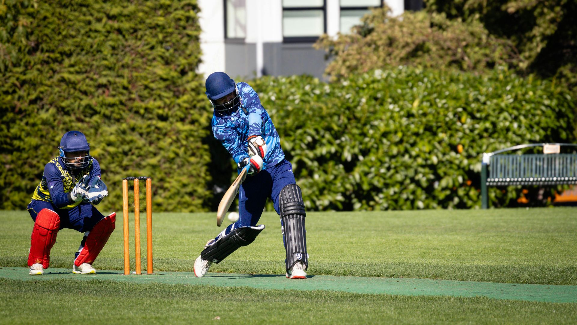14. Cricket
