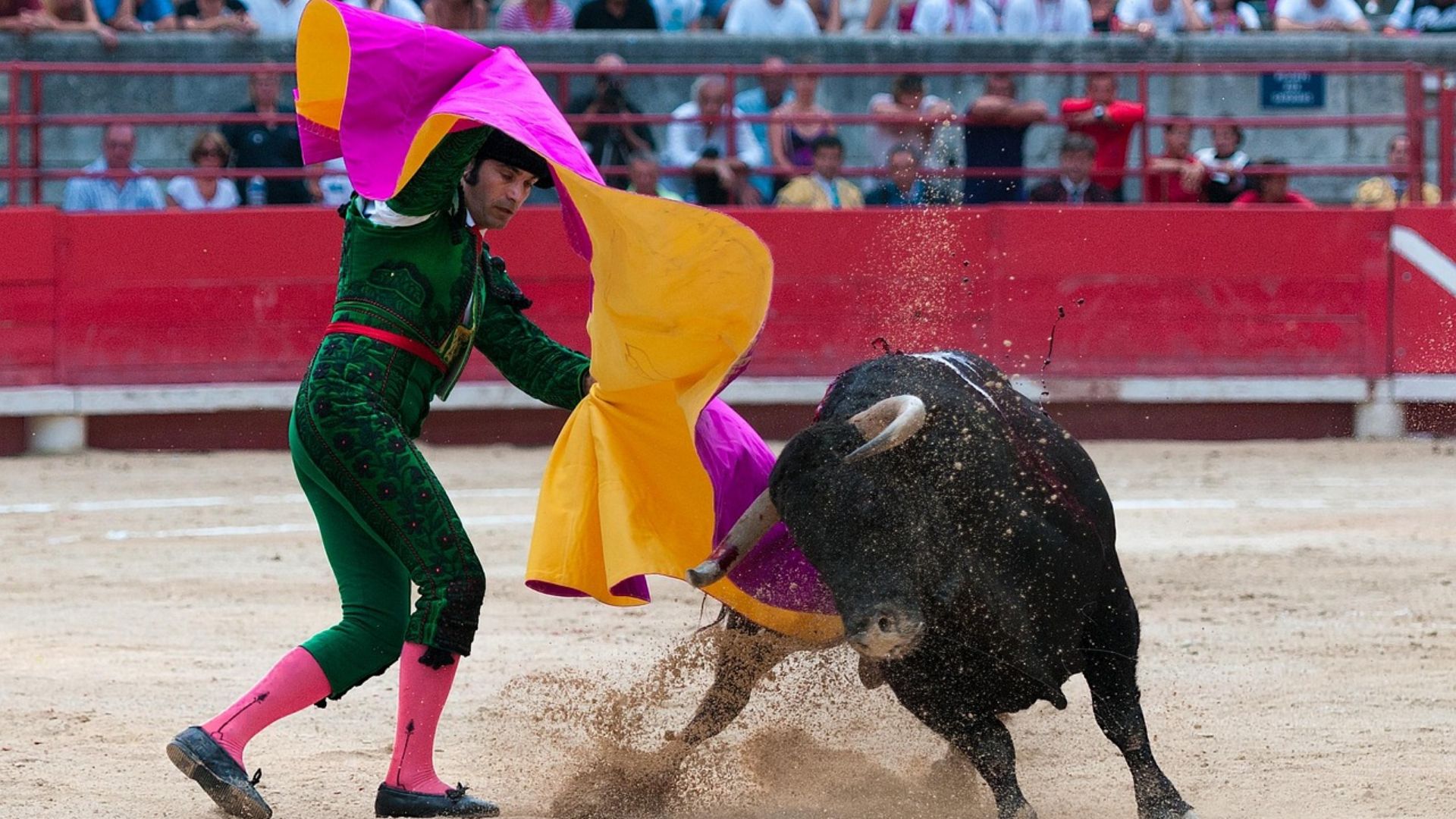 19. Tauromachie