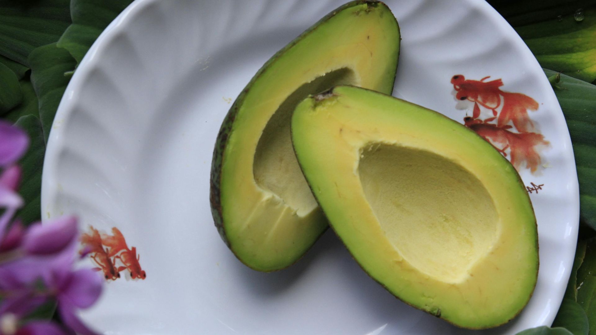 14. Avocats