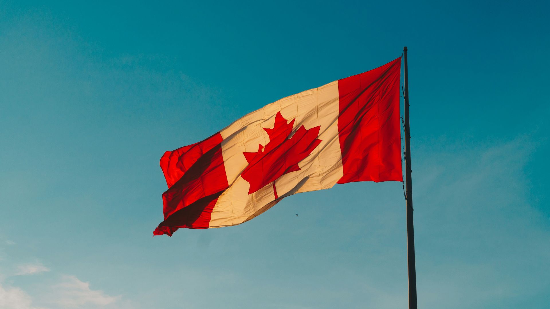 6. Il aimait le Canada