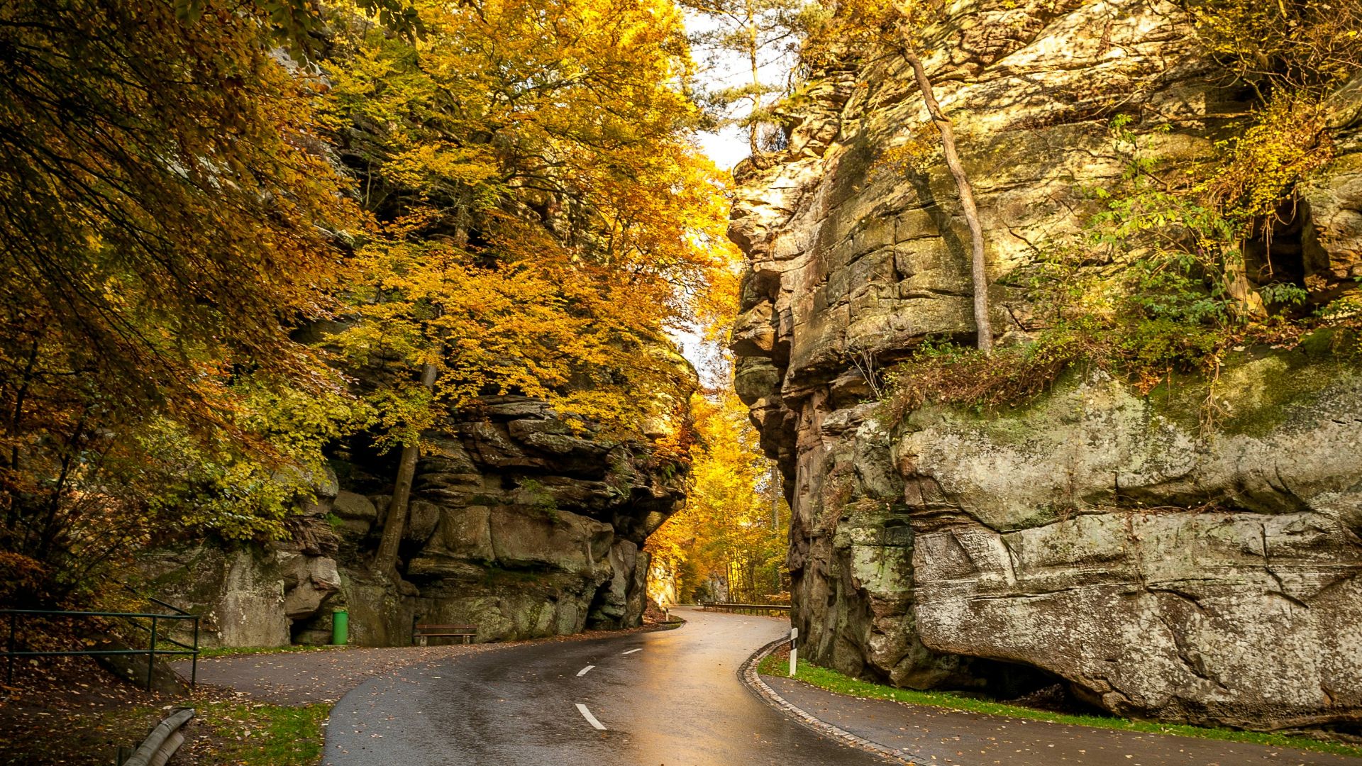14. Route romantique