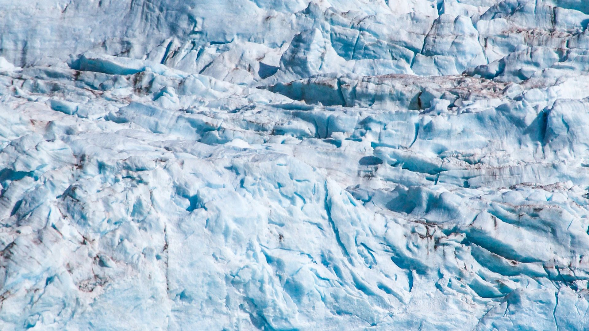 2. Armure arctique