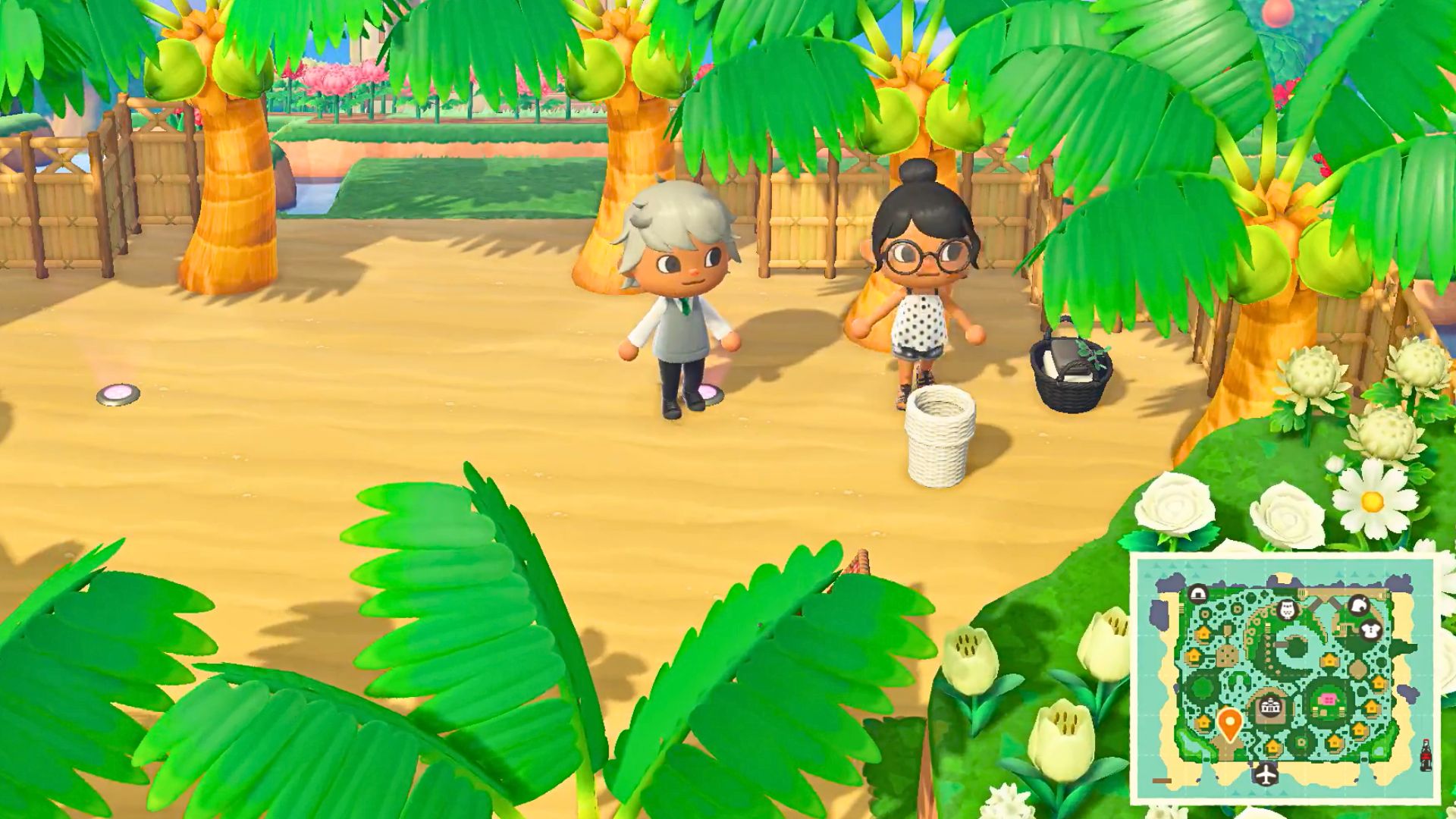 8. Animal Crossing : Nouveaux Horizons