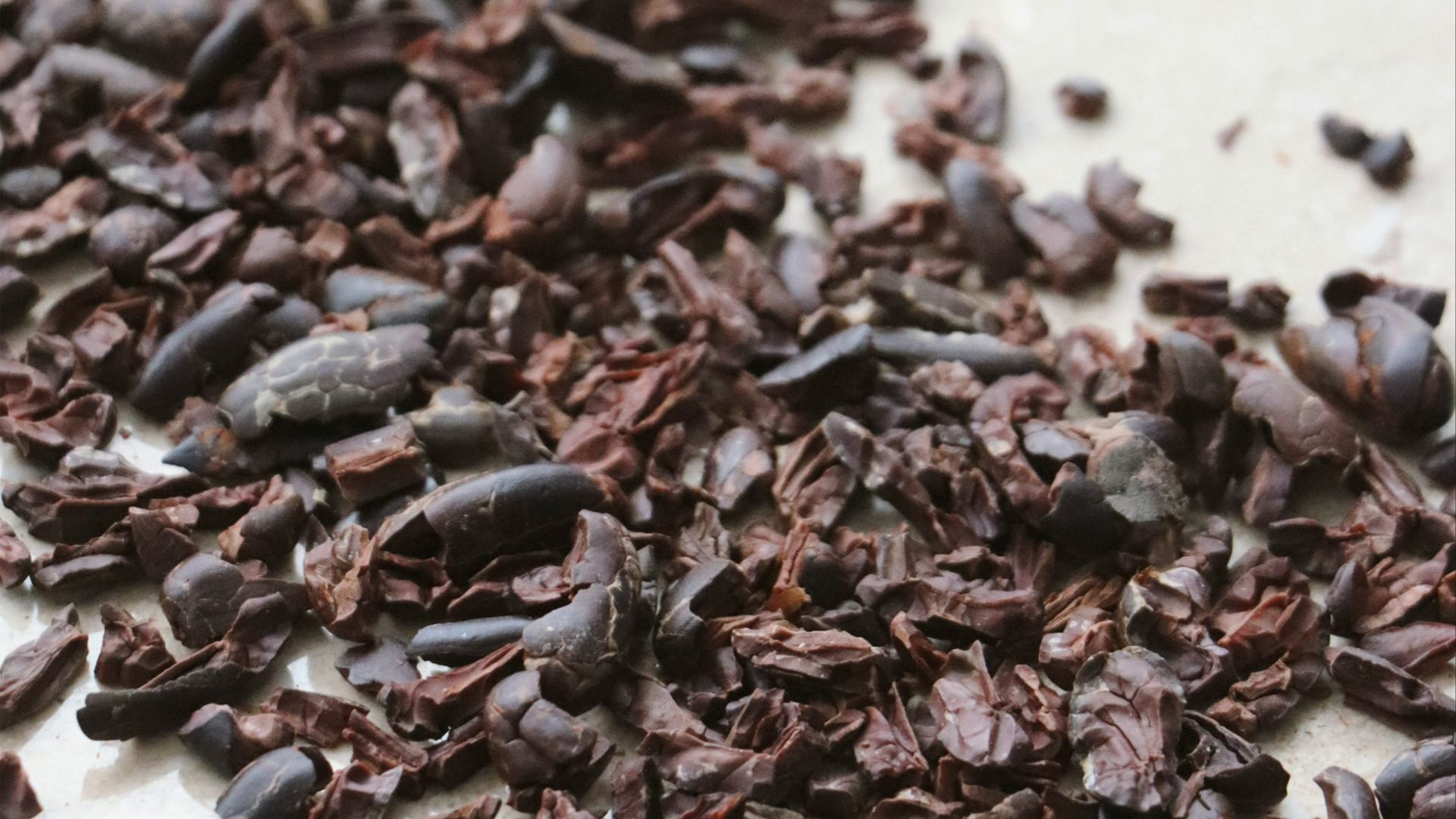 8. Grains de cacao